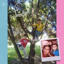 Carica l'immagine nel visualizzatore di Gallery, Composit di foto